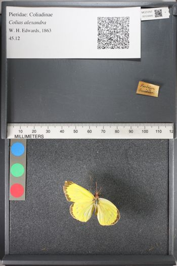 Media type: image;   Entomology 124440